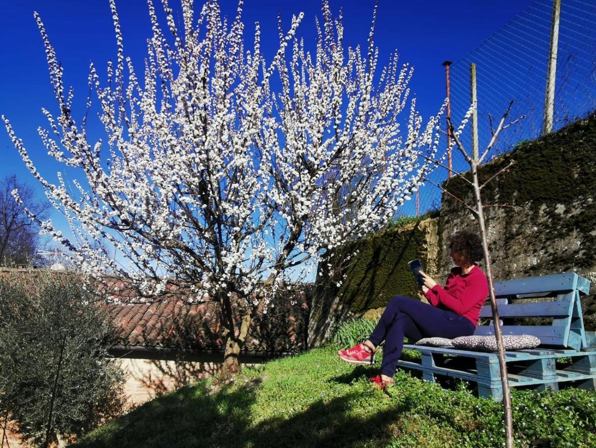 Casa Graziella- Appartamenti Vacanze Portacomaro Eksteriør bilde